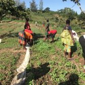 Incontro IBO sul progetto donne e mestieri in Burundi