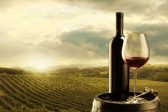 Il mondo del vino: corso di I° livello