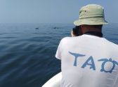 Voliamo al mare | Un drone per la tutela di tartarughe marine e delfini