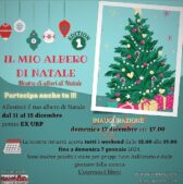 Il mio Albero di Natale – Mostra di alberi di Natale