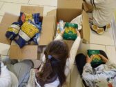 Solidarietà nell’Istituto Comprensivo di Portomaggiore: un successo per la raccolta alimentare