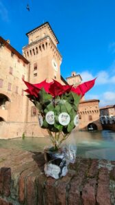 14 e 15 dicembre: tornano le Stelle di Natale AIL