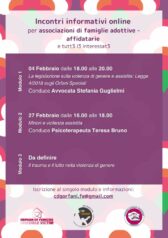 Incontri informativi gratuiti online per associazioni di famiglie adottive - affidatarie e tutt3 l3 interessat3 