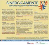 Sinergicamente 2025/al via le iscrizioni ai nuovi laboratori aperti alla cittadinanza