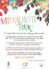 “Natural mente”: IX edizione del Tour artistico della Scuola Media di Casumaro